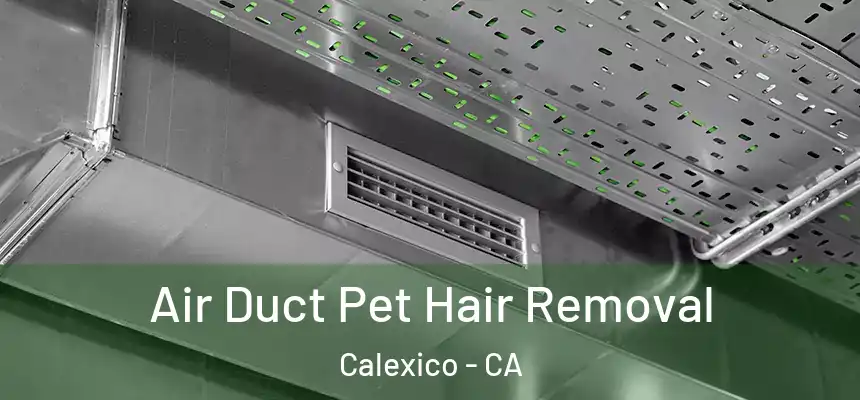Air Duct Pet Hair Removal Calexico - CA