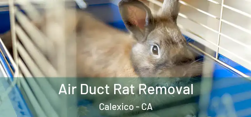  Air Duct Rat Removal Calexico - CA