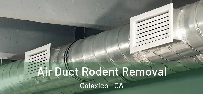  Air Duct Rodent Removal Calexico - CA