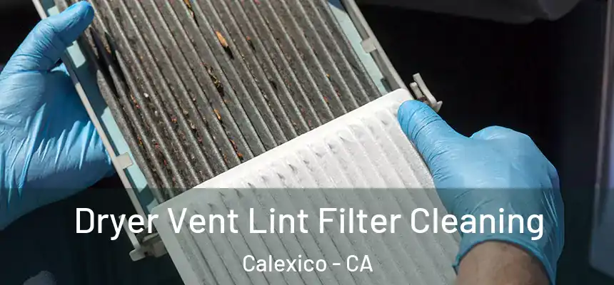 Dryer Vent Lint Filter Cleaning Calexico - CA