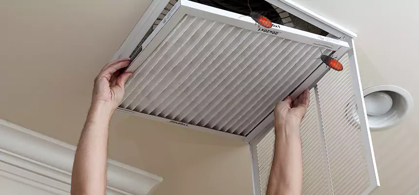 Our Insect Removal from Air Ducts Services in Calexico, CA