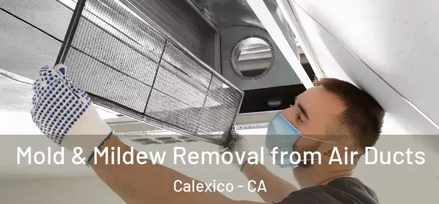  Mold & Mildew Removal from Air Ducts Calexico - CA