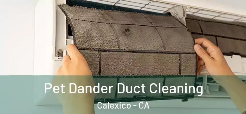  Pet Dander Duct Cleaning Calexico - CA