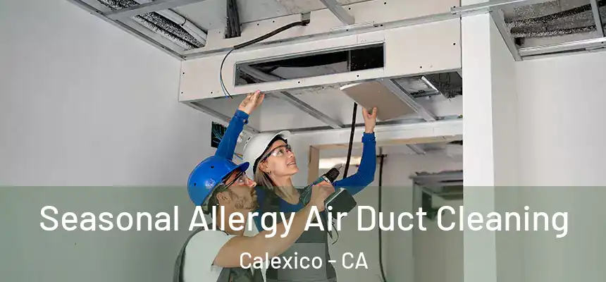 Seasonal Allergy Air Duct Cleaning Calexico - CA
