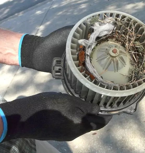 About Air Duct Mice Removal in Calexico, CA