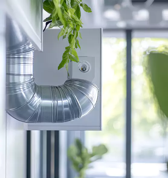 Professional Eco-Safe Dryer Vent Cleaning in Calexico, CA