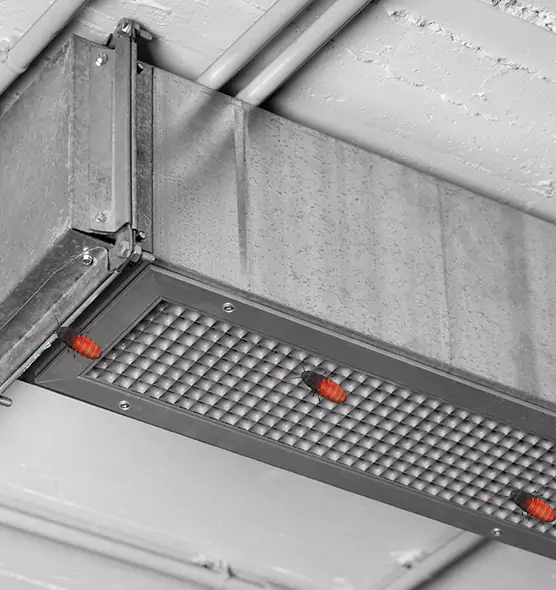 Affordable Insect Removal from Air Ducts in Calexico, CA