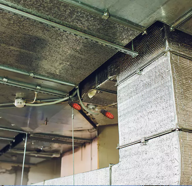 Why Homeowners & Businesses Trust Us in Calexico, CA?