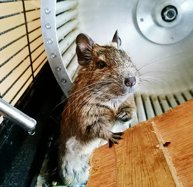 Why Homeowners & Businesses Trust Us Calexico, CA