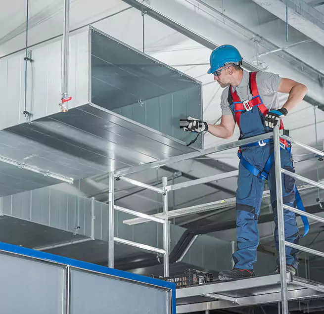 Why Homeowners Businesses Trust Us in Calexico, CA