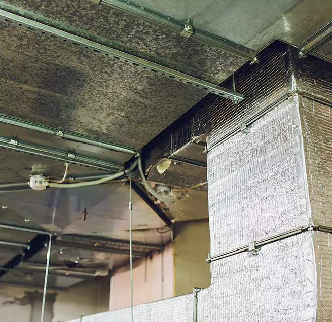 Why Homeowners & Businesses Trust Us in Calexico, CA?