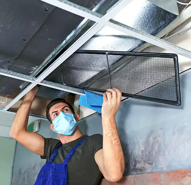 Why Homeowners Businesses Trust Us in Calexico, CA